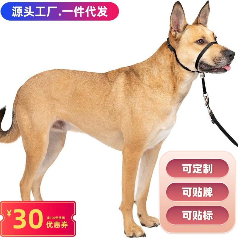 Pet Dog Маска для рта Анти-поедание Маска для рта Анти-лай Анти-укусы Кодзи Тедди Специальная маска для рта с защитой от облизывания Маленькая