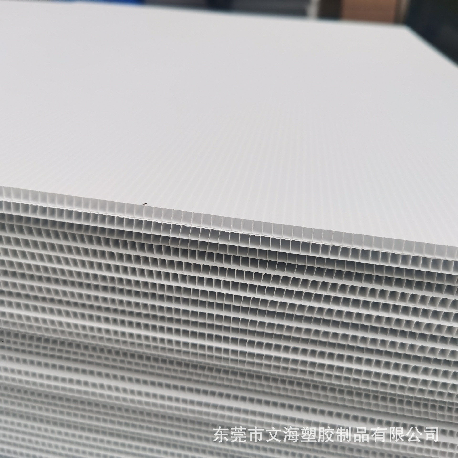 塑料中空板 雪白中空隔板 乳白色加硬万通板 PP中空板箱包侧护板