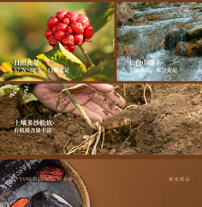 Dried Whole Ginseng Root Sun-Dried White Ginseng for Soup and Wine 500g Box key features