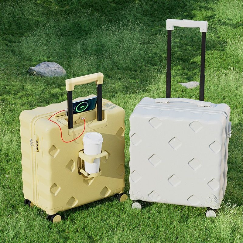 Thickened Trolley Case
