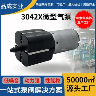 定制大气量微型充气泵按摩器3042直流隔膜气泵外钓鱼鱼缸增氧泵
