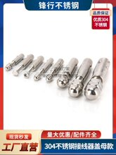 304���P�䓽z�K�B�����i���B���^�i�o���A�^���^���o������