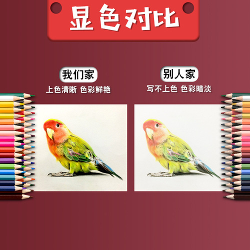 Deli color lead water-soluble color lead 36-color oil-based color pen erasable painting brush set hand-painted color pencil
