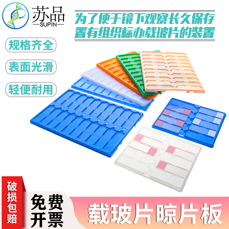 10片20片36片塑料晾片板 存片盒 读片板 玻片板 载玻片盒