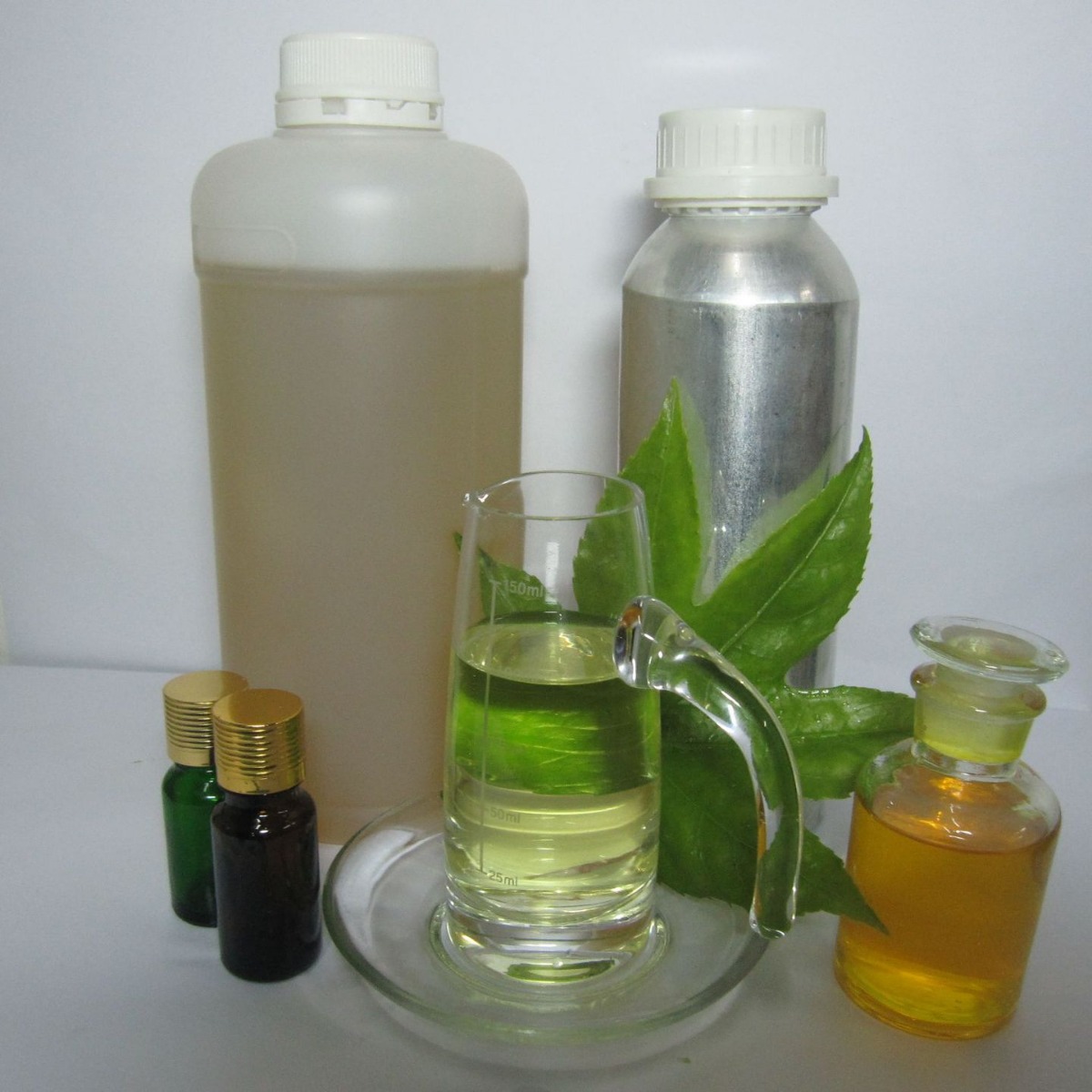 �������� ������Ҷ�� ֲ��ӷ�����   �������