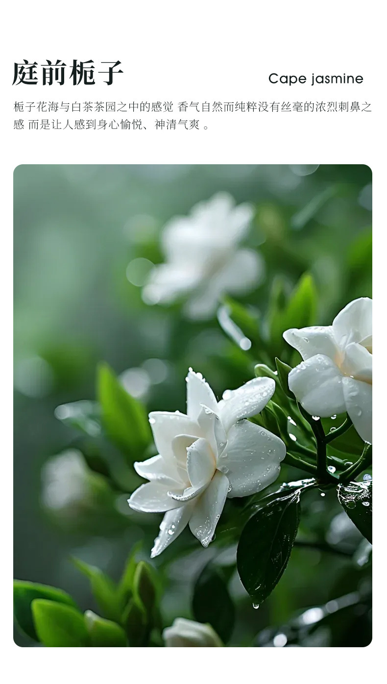 [Premium Selection] 2026 New Model Smart Automatic Spray Car Fragrance Diffuser High-End Perfume Advanced Aromatherapy