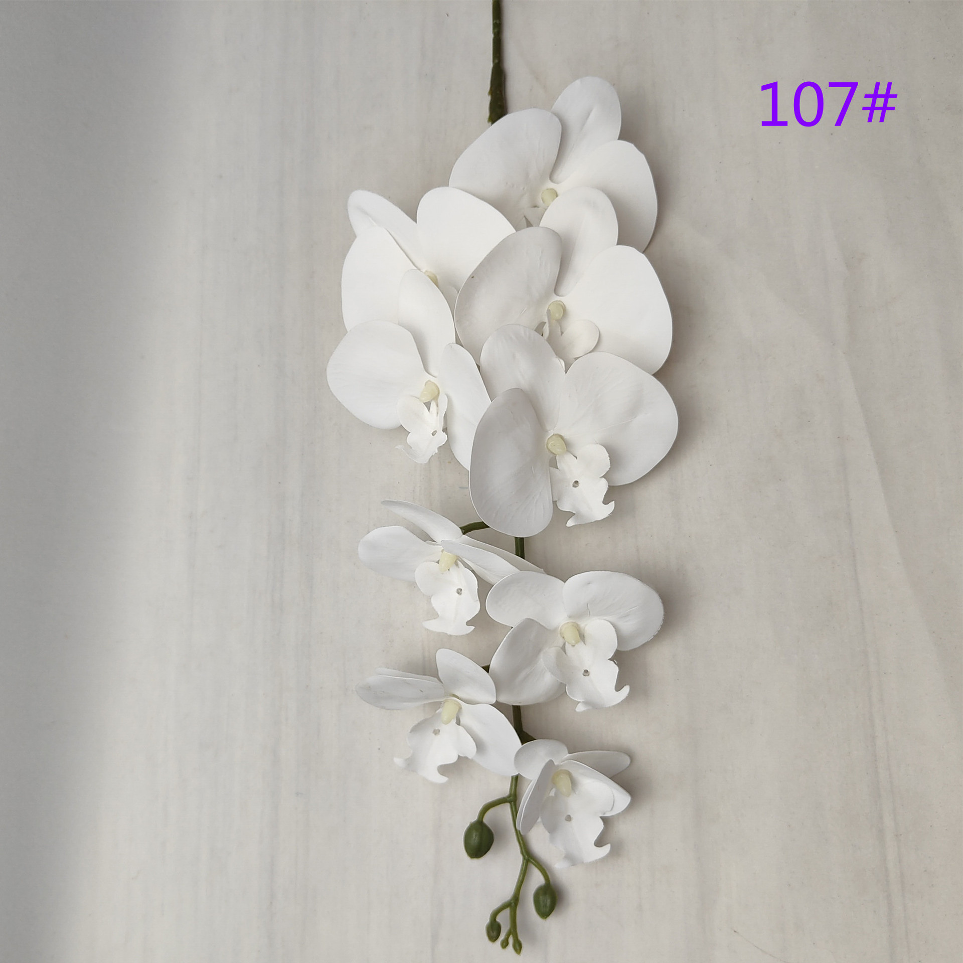 IMG20230510132007_副本