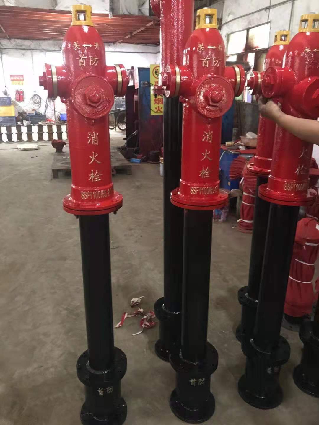 b36b6025fa13f5c7b3ab6244c50479