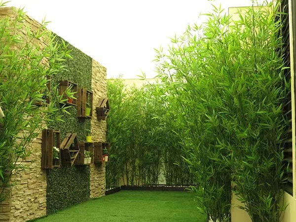 微信图片_20240419125729