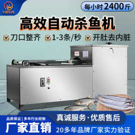 商用自动杀鱼机多功能鱼开膛去鳞机全自动水产加工鲫鱼草鱼宰鱼机