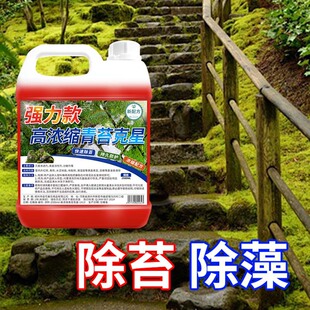 Moss Remover for Cement Floors, Special Nemesis for Walls and Houses, Moss and Algae Removal, Green Moss Test, Not for Sale