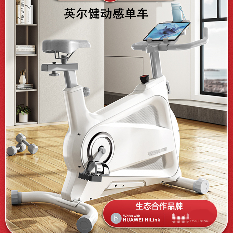 磁控动感单车家用健身车立式静音型室内减肥器材脚踏车英尔健跨境-阿里巴巴
