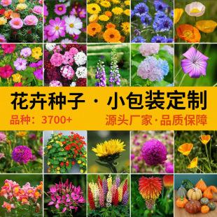 ���÷N��С���b�M�ϴ��l�ļ�ͨ���׷N��ͥ�@ˇ���S�ҿ������̨