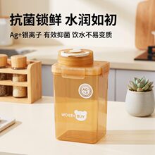 冰箱冷水壶抗菌银离子PP密封防漏隔渣滤网冷泡茶壶果茶冷饮分享款