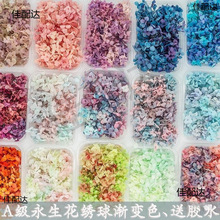 ����Ę�����w�by���N���ɻ��NĘ����yĘ���N��Ę�N��̨�y���x