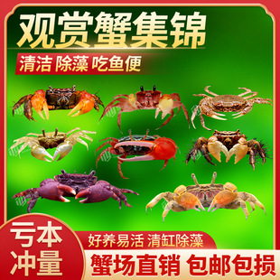 ����з����з���w�����з�^�pз���x���嵭ˮз�~�����еח�����