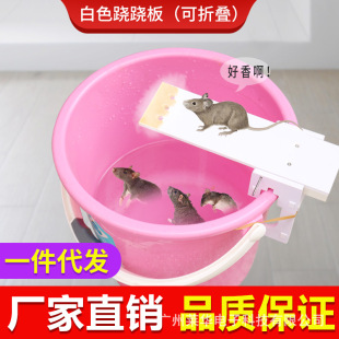 �E�E�岶�������ۯB�����Ԅ��B�m ����\����������������Q�羳