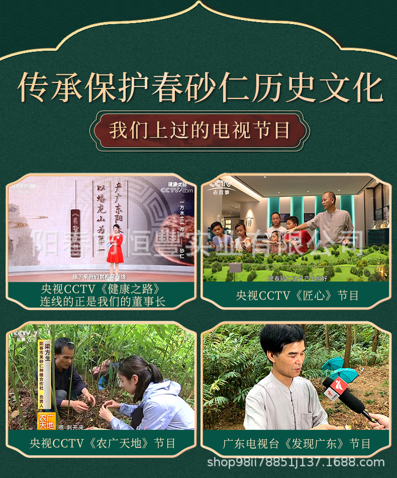 Jinhua Pit Spring Amomum 9g Dried Sha Ren Fruit Traditional Chinese Herb specifications