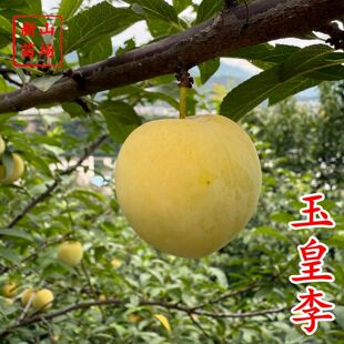 ��������硿�һ������S���S���������С�S�a�׹������Ә���