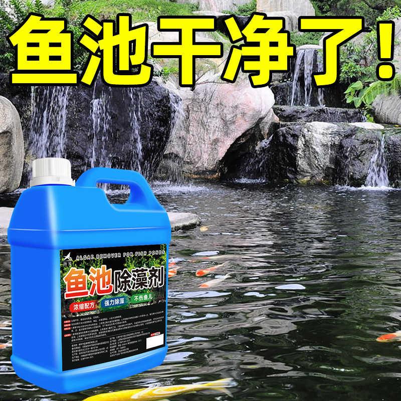 Fish Pond Algae and Moss Remover, Moss Remover That Does Not Harm Fish Pond Water Algae, Blue-Green Black Hair Algae Remover, Drop Shipping