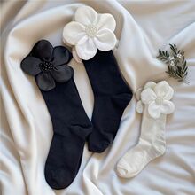 2025�����T����黨��ڰ�ɫ�W�t�@����Ͳ��ѥ�Ѷ��m�r��С��