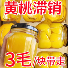 黄桃罐头整箱砀山黄桃510g×4罐新鲜水果罐头特产玻璃瓶整箱产品