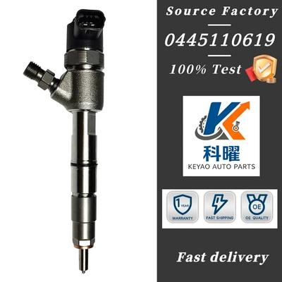 0445110619 electronic control common rail diesel injector 1100100XED15 is suitable for 4D20 engine