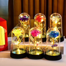 �ʽ��õ�廨�����������˹��Y��羳�}�Q�����ֶY���նY��[��