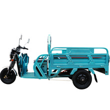 工厂批发跨境专供载重王爬坡载货电动三轮车electric tricycle
