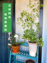 �W�񻨼�ֲ�����پW�����F�z�Wչʾ���¼�ֲ����W����չʾ��