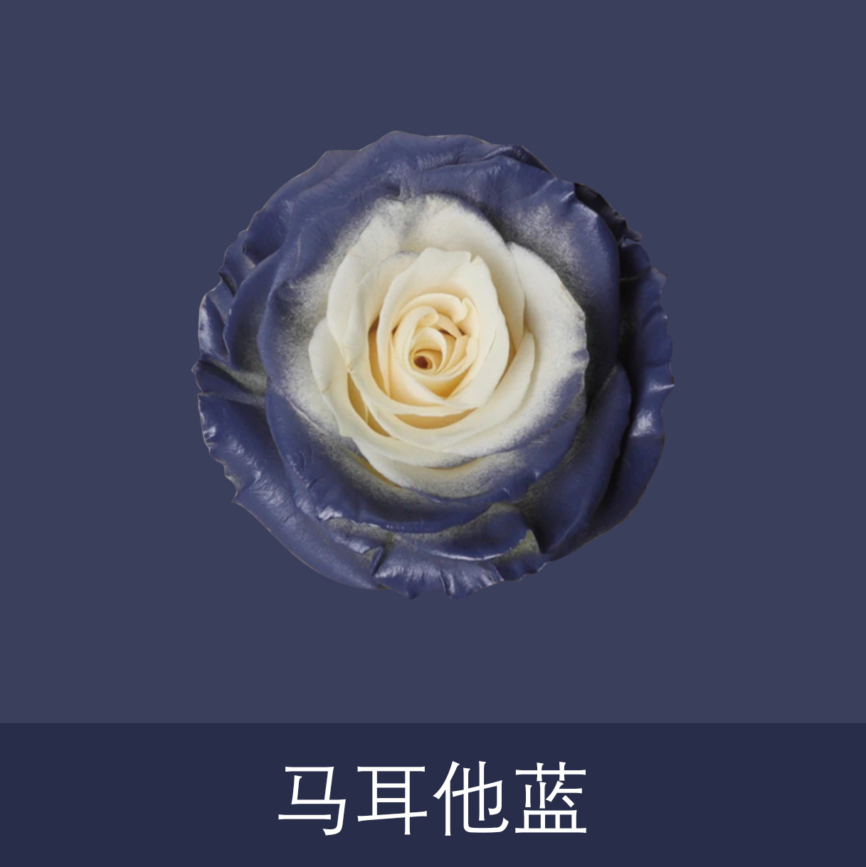 Material de embalaje de flores frescas Agente de tinción en aerosol de flores secas Salsa de ciruela negra Pintura en aerosol de flores Pintura en aerosol de flores Agente de color de flores