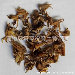 ���ƅ�,���օ�,�փ���,���m��ֲ���օ��ʹ��}�ĉK�o��ș�����خa