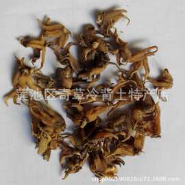 手掌参,佛手参,手儿参,为兰科植物手参和粗脉的块茎中药材西藏产