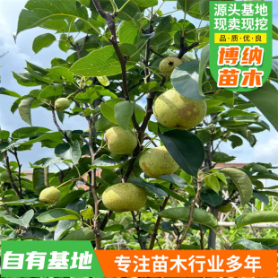 ���Ԯ���Y������� ������޽��� ����Sˮ���Ә��m����ˮ��