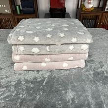 毛毯被冬加厚毯双面绒单新人学生宿舍沙发毯机法兰绒印花碎花外贸