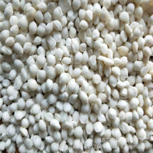 hѩSN I}ԭ}ѩ cV}ѩr