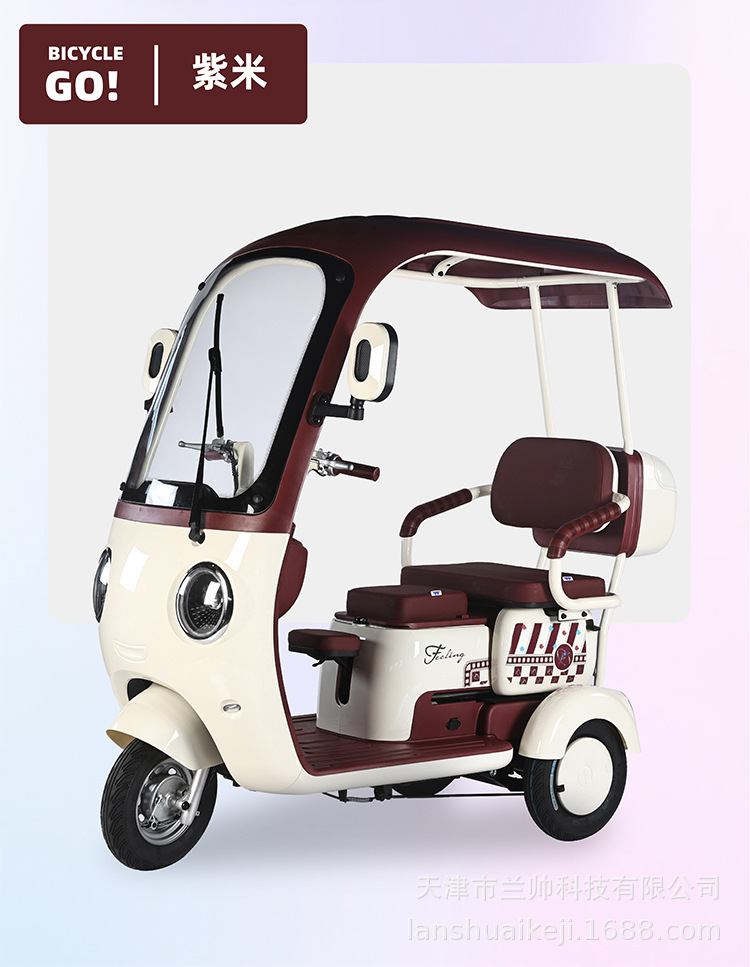 New National Standard Electric Leisure Tricycle Small Vehicle for Kids