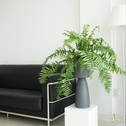 Nordic creative floor-standing tall flowerpot large special-shaped light luxury living room art overlord fern set basin high-foot ornaments