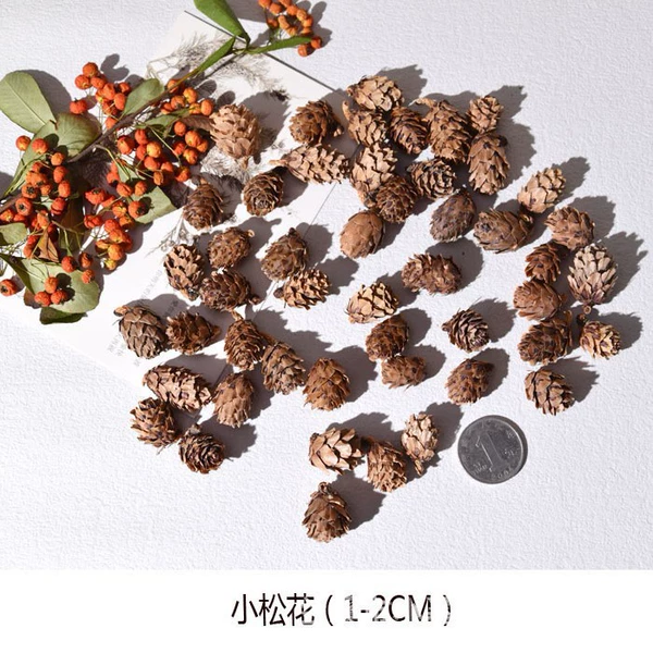 5 small pine flowers