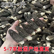 产地批发云南羊肚菌种植无柄尖头食用菌干货煲汤食材一件代发无沙