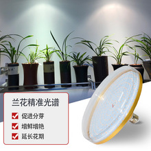 �m���a���������ɫ���ô��ﻨ��ledֲ��ȫ���V�a������L��