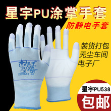 ����pu538����͸����o���ĥ������ӏS����b؛�ڱ��z������Ů