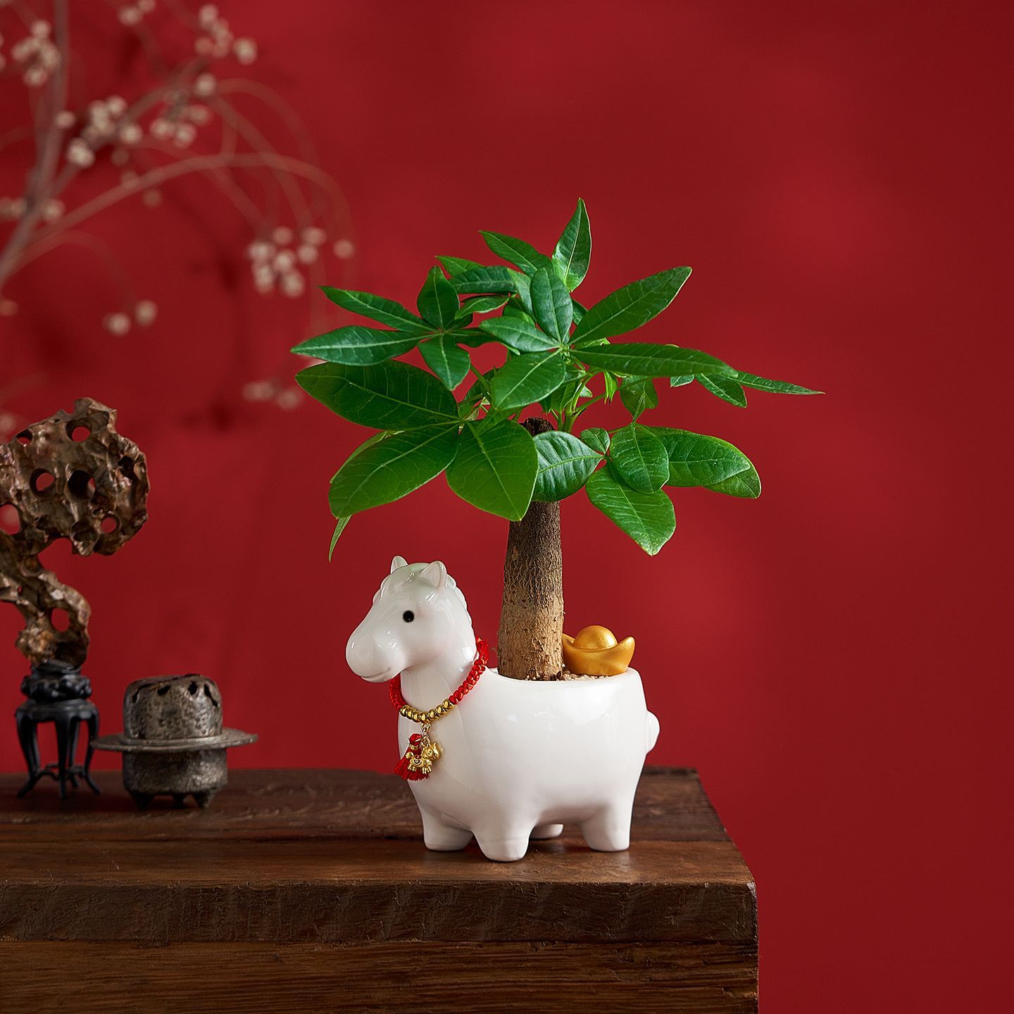 发财树室内盆栽绿植客厅办公桌面好养活年宵花卉植物包邮一件代发