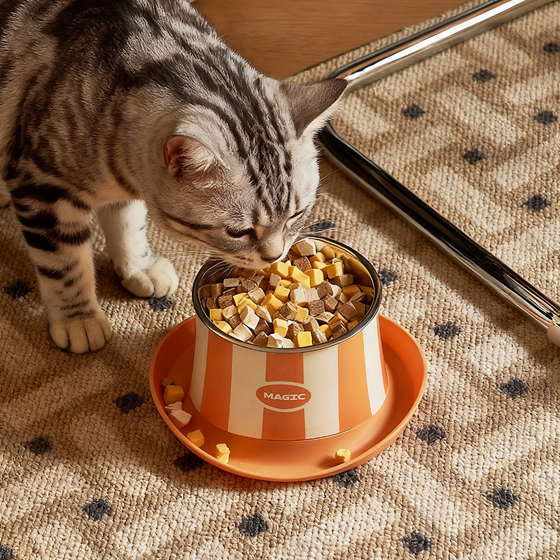 Pet de acero inoxidable cuello único protector de cuello anti-fugas de alimentos anti-cabotaje cuello de perros elevados protector de cuello anti-cabotaje cuello de gato