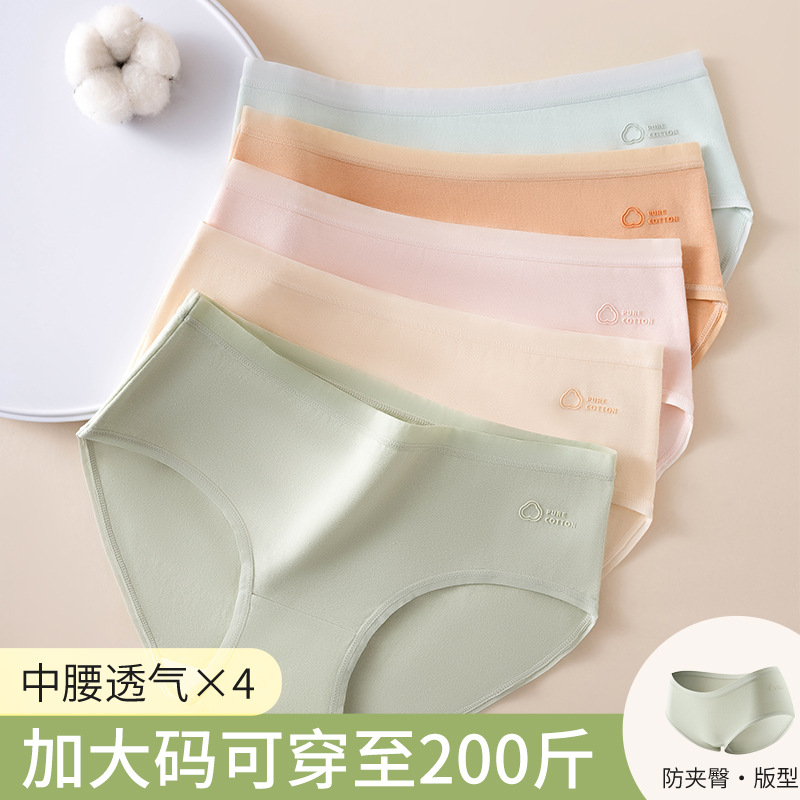 Chica de gran tamaño grasa mm algodón fino 2024 nuevo algodón antibacteriano entrepierna más fertilizante para aumentar 200 kg