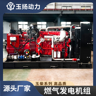 ���250kw��Ȼ��l늙C�M200ǧ��ȼ��l� ʳƷ�S���I�@�^���