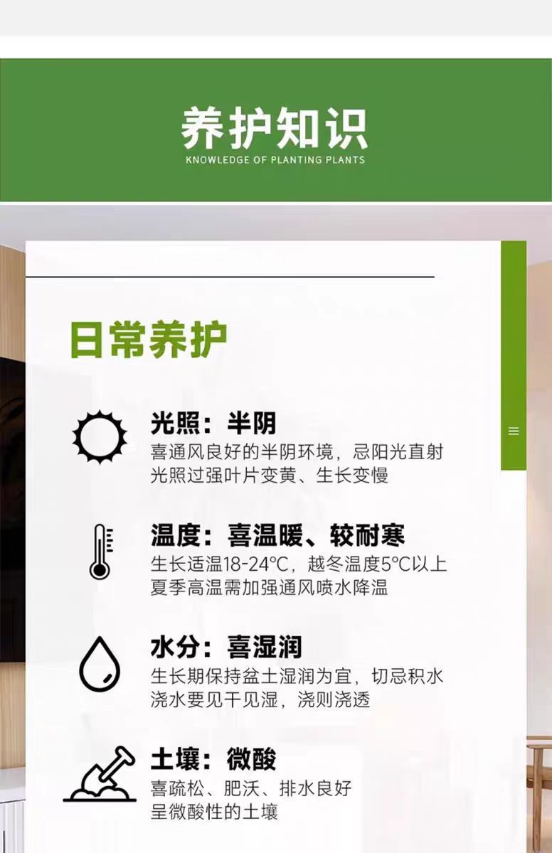 b586fff5-6e71-4199-b1d9-3329aefb0707.jpe