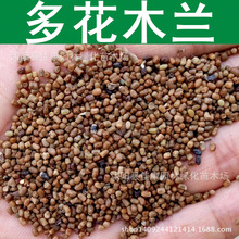 ľN ໨ľmN ໨ľ{ Ұ{֦ 1=1