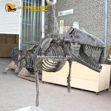 陆行鲸游走鲸鲸鱼化石摆件 仿真动物模型 骨架玻璃钢室内景区装饰