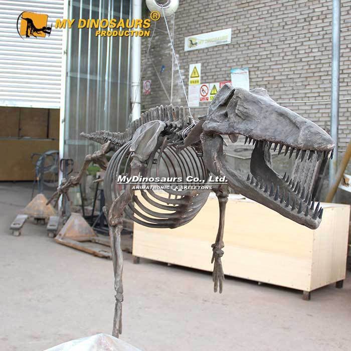 陆行鲸游走鲸鲸鱼化石摆件 仿真动物模型 骨架玻璃钢室内景区装饰